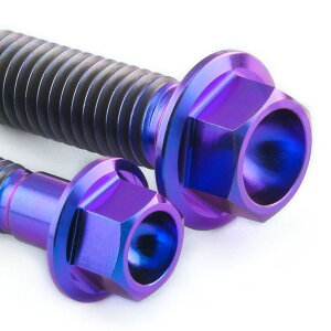 PRO BOLT �v���{���g �M�A �h���C�u �J�o�[ �{���g�L�b�g �t�����W�w�b�N�X AN650 Burgman SUZUKI �X�Y�L �ėp�{���g�E�l�W