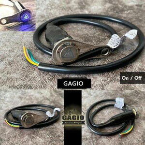 GAGIO MOTOR PARTS �K�W�I���[�^�[�p�[�c Five-wire on-off switch with mounting plate B ���̑��X�C�b�` �X�C�b�`�E�n�[�l�X�֌W �d���n