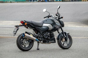 OVER �I�[���@�[ TT-Formula RS+PRO Mini L �t���`�^�� GROM HONDA �z���_ �t���G�L�]�[�X�g�}�t���[ �}�t���[
