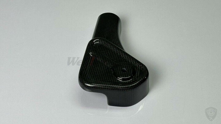 楽天市場】Carbonetti カーボネッティ Front Fork Replacement L/R