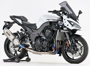 BEET �r�[�g NASSERT Evolution GT �A�b�v�d�l ���{�F�ؓK�� �t���G�L�]�[�X�g�}�t���[ Ninja1100SX KAWASAKI �J���T�L �}�t���[ �J���[�F�u���[�`�^���T�C�����T�[