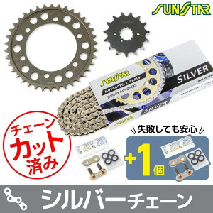 SUNSTAR �T���X�^�[ �`�F�[�����X�v���P�b�g 3�_�Z�b�g GPZ600R KAWASAKI �J���T�L �X�v���P�b�g�E�`�F�[���Z�b�g �쓮�n �`�F�[���J���[�F�V���o�[(�`�F�[���i�ԁFSS530SKC-102SV)