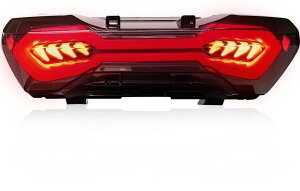 Kaedear �J�G�f�B�A Cyber LED �J�X�^���e�[�����C�g ADV150 ADV160 HONDA �z���_ �e�[�������v ���Η� �d���n