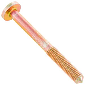 SIP Scootershop �G�X�A�C�s�[ �X�N�[�^�[�V���b�v �ySIP SPAREPARTS�z �X�N�����[ �X�s�[�h���[�^�[�p M5x50 mm�A(�}�C�i�X�l�W)�A�ە��� 100 100Sport 125 Primavera ET3 50 Special Elestart SS�^Super Sprint 90 SS Super Ves