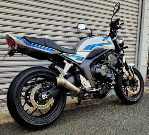 ASAHINA RACING �A�T�q�i���[�V���O �t���`�^��EX GP�X�^�C�����K�t�H���d�l CB1000F HONDA �z���_ �t���G�L�]�[�X�g�}�t���[ �}�t���[ ��p�o�b�t���F����
