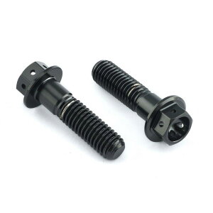 PRO BOLT �v���{���g Stainless Steel Rear Brake Mounting Bolt Kit Race Spec NA850 Mana RS250 R1250GS Adventure GSF1200 Bandit GSF600 GSX-R750 GSX1400 GSX600 Katana TL1000R TL1000S APRILIA �A�v�����A BMW SUZUKI �X�Y�L �L�����p�[�{���g�E
