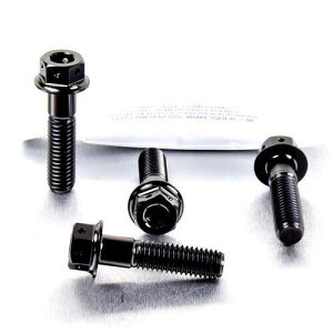 PRO BOLT �v���{���g �t�����g�u���[�L�L�����p�[�}�E���e�B���O�{���g�L�b�g R1200GS CB1000R CB1300 CB600 Hornet FY-F6 SFW-SFX CBF1000 CBF600S CBR400RR CBR600F1-F5 CBR650F DN01 VFR750FL-FP XL1000V V4-V9 Varadero XL700 VA Transalp