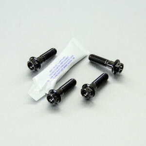 PRO BOLT �v���{���g �t�����g�u���[�L�L�����p�[�}�E���e�B���O�{���g�L�b�g R1200GS CB1000R CB1300 CB600 Hornet FY-F6 SFW-SFX CBF1000 CBF600S CBR400RR CBR600F1-F5 CBR650F DN01 VFR750FL-FP XL1000V V4-V9 Varadero XL700 VA Transalp
