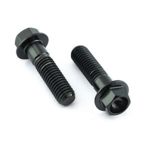 PRO BOLT �v���{���g ���A�u���[�L�L�����p�[�}�E���e�B���O�{���g�L�b�g NA850 Mana RS250 R1250GS Adventure GSF1200 Bandit GSF600 GSX-R750 L-M GSX1400 GSX600 FW-FK1 JS1AJ Katana TL1000R TL1000S APRILIA �A�v�����A BMW SUZUKI 
