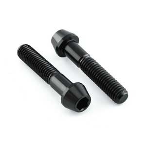 PRO BOLT �v���{���g ���A�u���[�L�L�����p�[�s���`�{���g�Z�b�g RSV4 RF 1290 Super Duke R APRILIA �A�v�����A KTM �L�����p�[�{���g�E�}�E���g�{���g �u���[�L