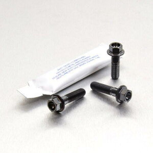 PRO BOLT �v���{���g �u���[�L���N���b�`���o�[ �p�[�`�s���`�{���g �L�b�g RSV4 1000 Factory RF Tuono V4 1100RR V4R 990 Adventure DL650 V-Strom GSF600 Bandit GSR600 GSX-R1000 GSX-R600 GSX-R750 SFV650 Gladius YBR125 ���̑����o