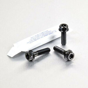 PRO BOLT �v���{���g �u���[�L���N���b�`���o�[ �p�[�`�s���`�{���g �L�b�g �f���A���h���C�u RSV4 1000 Factory RF Tuono V4 1100RR V4R 990 Adventure DL650 V-Strom GSF600 Bandit GSR600 GSX-R1000 GSX-R600 GSX-R750 SFV650 Gladiu