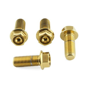 PRO BOLT �v���{���g ���C�_�[ �t�b�g���X�g �n���K�[ �{���g �L�b�g WR125R XVS1300A Midnight Star YAMAHA ���}�n �ėp�{���g�E�l�W