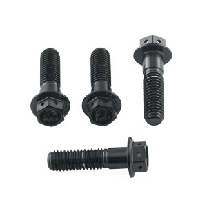PRO BOLT �v���{���g �s���I�� �t�b�g���X�g �n���K�[ �{���g �L�b�g ���[�X�X�y�b�N SL1000 Falco R Nine T Sport Africa Twin CRF1000L APRILIA �A�v�����A BMW HONDA �z���_ �ėp�{���g�E�l�W