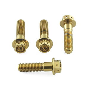PRO BOLT �v���{���g �s���I�� �t�b�g���X�g �n���K�[ �{���g �L�b�g ���[�X�X�y�b�N SL1000 Falco R Nine T Sport Africa Twin CRF1000L APRILIA �A�v�����A BMW HONDA �z���_ �ėp�{���g�E�l�W