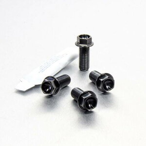 PRO BOLT �v���{���g ���C�_�[ �t�b�g���X�g �n���K�[ �{���g �L�b�g WR125R XVS1300A Midnight Star YAMAHA ���}�n �ėp�{���g�E�l�W
