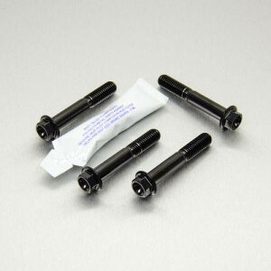 PRO BOLT �v���{���g �s���I�� �t�b�g���X�g �n���K�[ �{���g �L�b�g XSR700 YAMAHA ���}�n �ėp�{���g�E�l�W