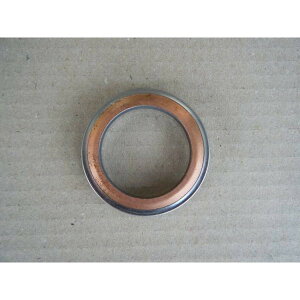 MIZUNO MOTOR ~Ym[^[ y[Xz(RZ250/350) }t[KXPbg RZ250 RZ250R RZ350 RZ350R YAMAHA }n GL][XgKXPbg }t[