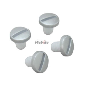 Arai AC VAS-VC lWZbgyCEIvVp[cz RAPIDE-NEO[pChElI] ̑wbgIvVECi wbg