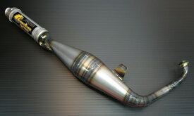 CHAMELEON FACTORY カメレオンファクトリー パラライザーIIIチャンバー ライブDIO [ライブディオ] ZX 取付け可能 J HONDA ホンダ チャンバー マフラー