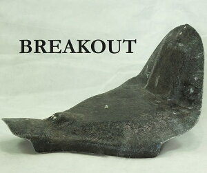 Custom Factory Noyfs JX^t@Ng[mCY V[gx[X(V[gtF_[p) FXSB uCNAEg HARLEY-DAVIDSON n[[_rbh\ V[g V[g֘A O