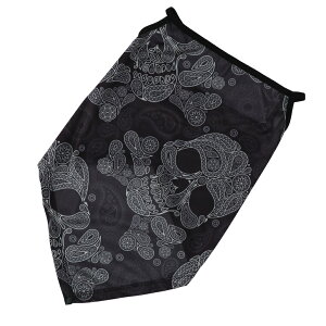 RIDEZ CY o_iC[[v o_i Ap