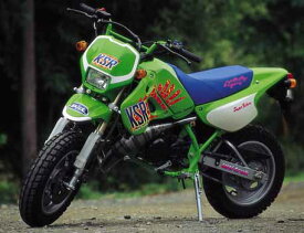 PRO SKILL プロスキル チャンバー KSR-1 KSR-2 KAWASAKI カワサキ KAWASAKI カワサキ