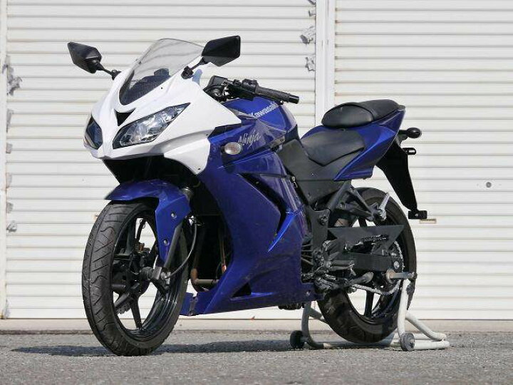 Ninja250r 才谷屋zr-6r風カウル付き 自賠責令和7年6月 力