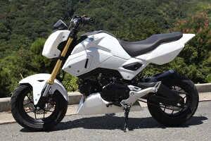 Magical Racing }WJ[VO A_[JE(IC󂯍\) O HONDA z_ A_[JE JE֘A O MagiVeilZ~bNR[eBOF