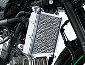 Kawasaki JTL WG[^XN[ Ninja ZX-25R SE KRT EDITION KAWASAKI WG[^[RAK[hEICN[[RAK[h p֘A GW
