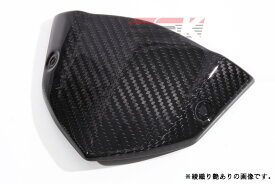 SPEEDRA スピードラ メーターバイザー Z1000 (水冷) KAWASAKI カワサキ