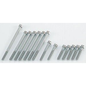 CF POSH CFポッシュ ステンレスクランクケースカバーボルトセット エイプ50 XR100モタード XR50モタード エイプ100 HONDA ホンダ クランクケースボルト エンジンパーツ エンジン