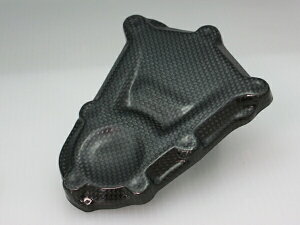 SPEED CARBON Xs[hJ[{ GWK[h R S1000RR BMW NNP[XJo[ GWp[c GW