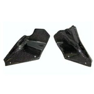 SPEED CARBON Xs[hJ[{ GWAq[gK[h F4-BRUTALE [u^[] MV AGUSTA AOX^ }t[K[hEq[gK[h }t[