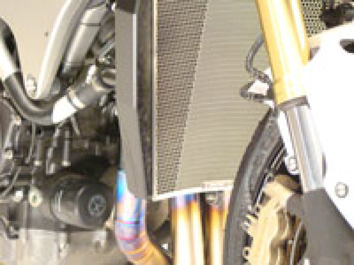 楽天市場】Dogfish ドグフィッシュ セミレーシング BURN-UP CBR1000RR 