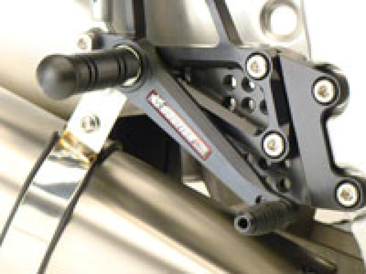 楽天市場】Dogfish ドグフィッシュ セミレーシング BURN-UP CBR1000RR 