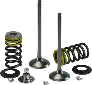 XCELDYNE GNZ_C VALVE KIT TI INTAKE HON [0926-2528] CRF250R HONDA z_ GWouEzrCou GWp[c GW