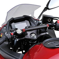 DAYTONAデイトナ各種電子機器マウント・オプション車種別マルチバーホルダーキャップボルトカラー:レッドGSX250R(17)