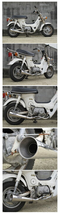 楽天市場】HOT LAP ホットラップ メガホンマフラー CHALY [シャリー 