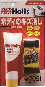 Holts zc yCg|bVEvX ̑ԗpi P~J