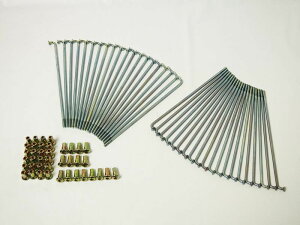 DOREMI COLLECTION h~RNV X|[N X|[NEjbv zC[֘A 