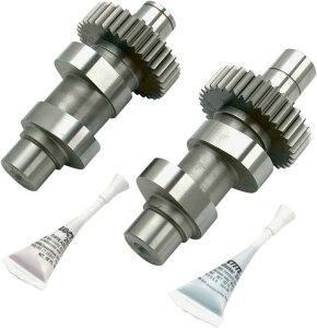 S&S CYCLE GXAhGX TCN JVtg Ci[MAt 585G 1999-06p yCAMS W/IN GRS 99-06 [0925-0622]z HARLEY-DAVIDSON n[[_rbh\ GWp[c GW