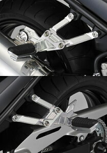 AGRAS AOX ^fE}t[Xe[ ofBbg1250F SUZUKI XYL }t[Xe[ }t[