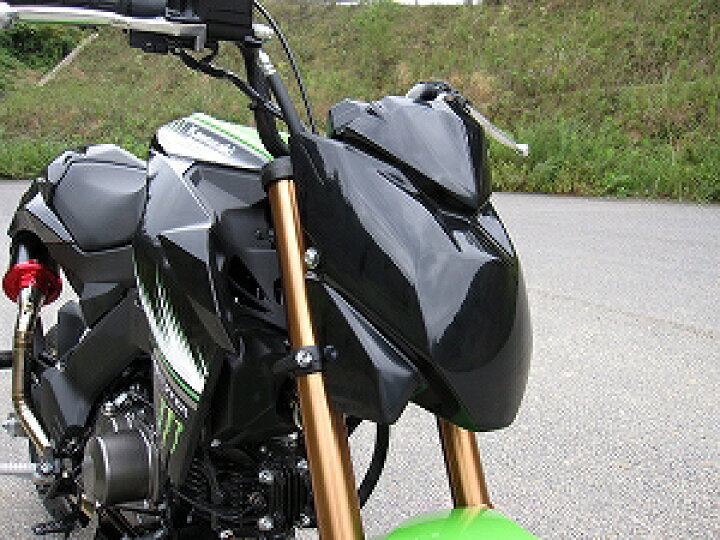 楽天市場】SOLID UP ソリッドアップ レーシングフロントカウル Z125 