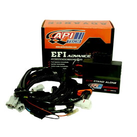 API TECH エーピーアイテック EFI-ALPHA-1 ER6N ER6F