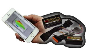 DILTS JAPAN fBcWp ENIGMA ^Cv P RTF [h125 EBJ-JF45 HONDA z_ CWFNVRg[[ETuR zC֘A GW