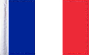 PRO PAD �v���p�b�h �t���O FRANCE 6x9 �yFLAG 6X9�z ���̑��ėp�O�����i�E�h���X�A�b�v�p�[�c �O��