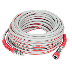 SK11 GXP[11 GAz[X HPv~A ̑H