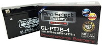 プロセレクトバッテリーオートバイ用12Vバッテリー