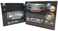 プロセレクトバッテリーオートバイ用12Vバッテリー